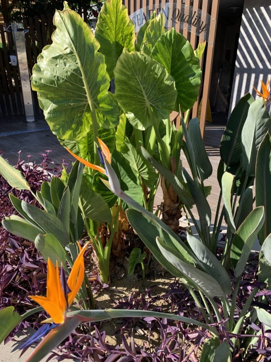 Gartenanlage Seaden Quality Resort & Spa