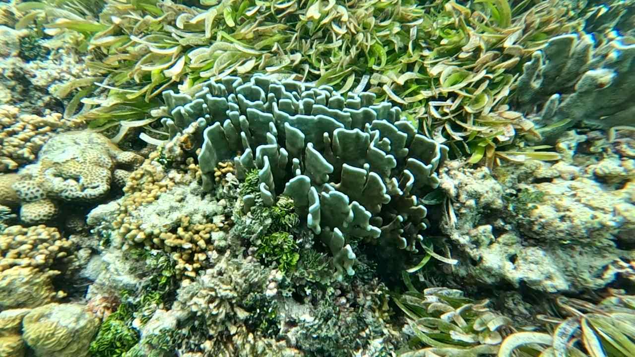 Sonstiges Cinnamon Hakuraa Huraa Maldives