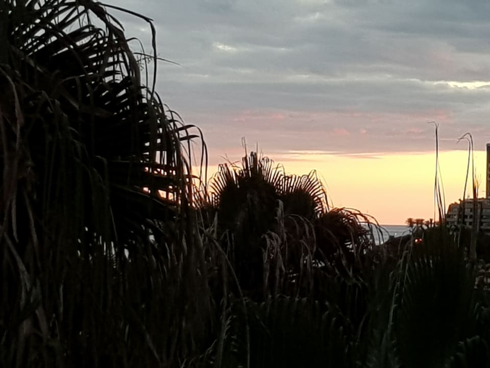 Ausblick Suite Hotel Eden Mar - PortoBay