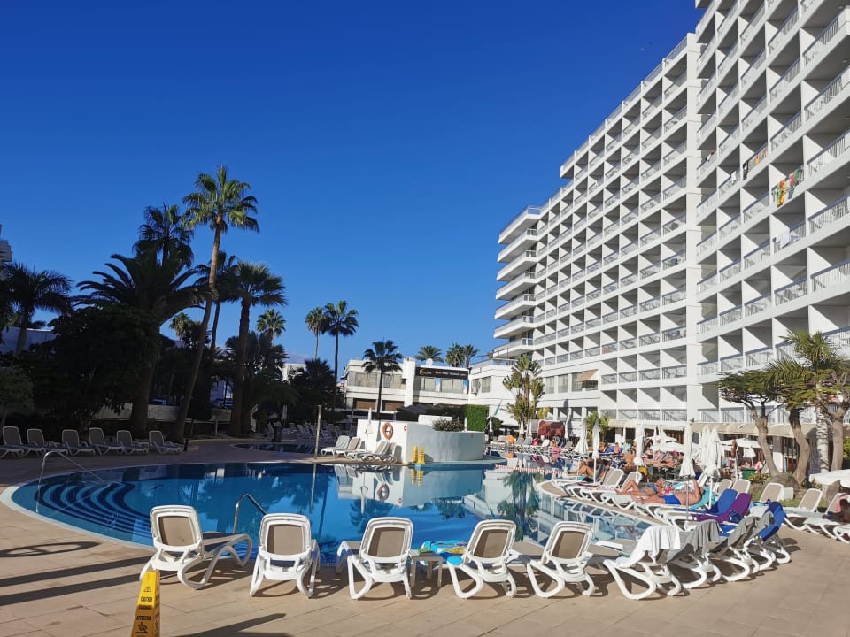 Pool Palm Beach - Excel Hotels & Resorts