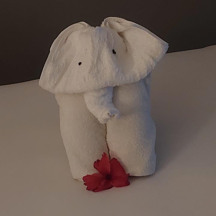 Zimmer TUI Blue Bahari Zanzibar