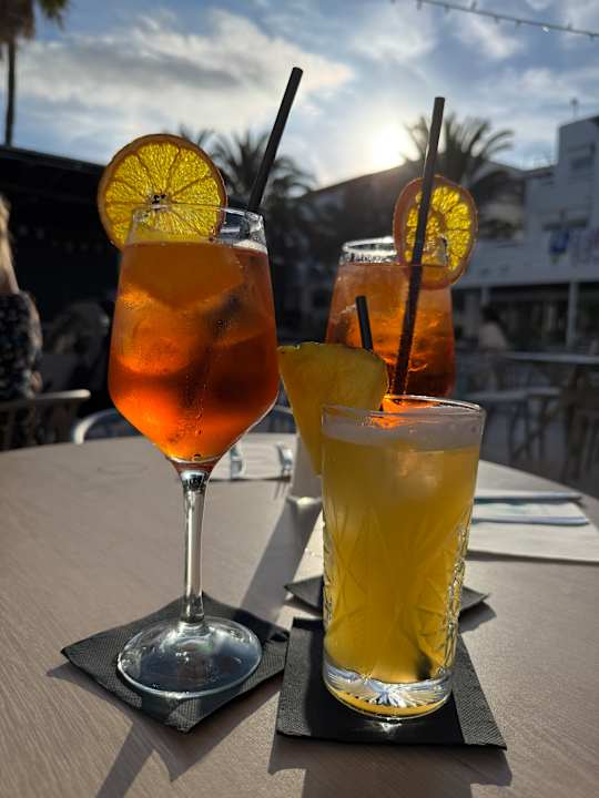 Gastro Calimera Fido Gardens
