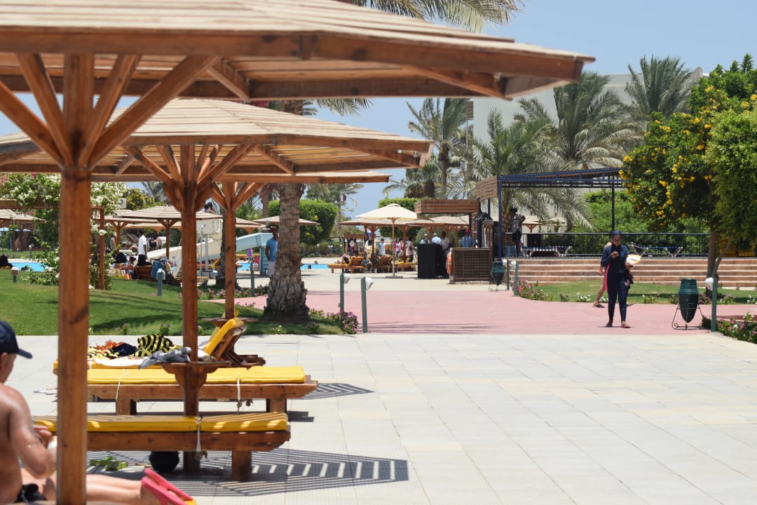 Sonstiges Desert Rose