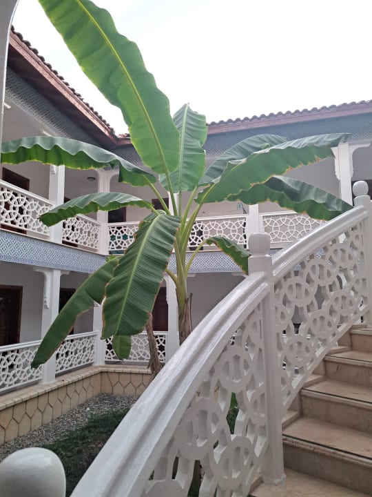 Außenansicht Ali Bey Club