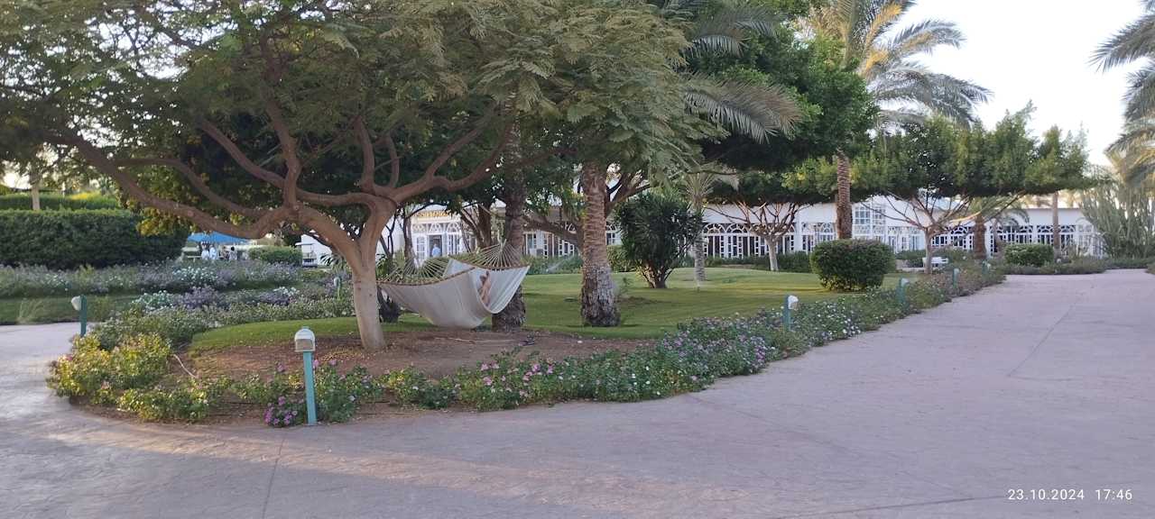 Gartenanlage Desert Rose