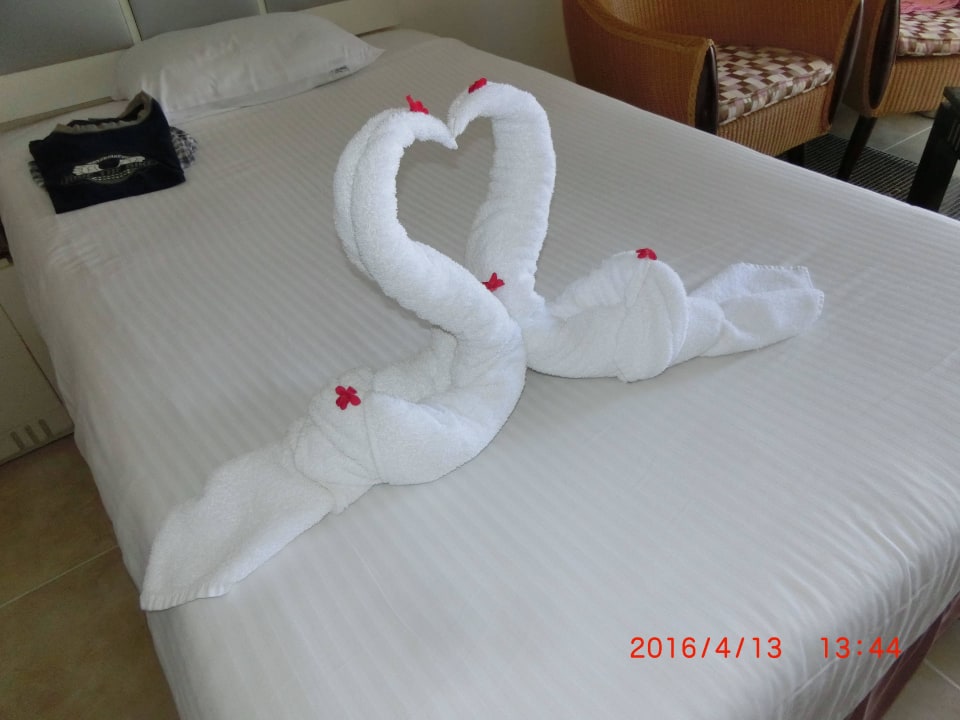 Schön gerichtet Tropitel Sahl Hasheesh