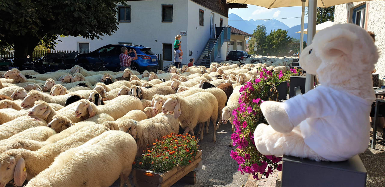 Ausblick Hotel-Gasthof Goldenes Lamm