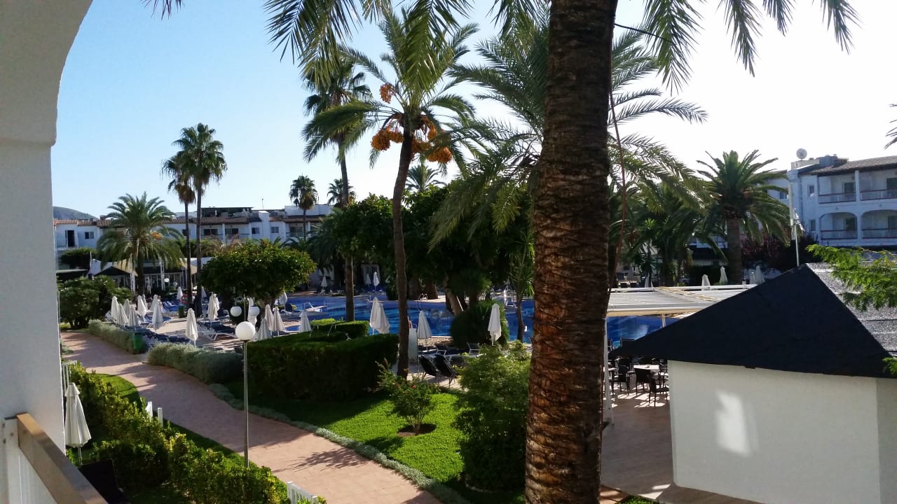 Ausblick Alcudia Garden Aparthotel