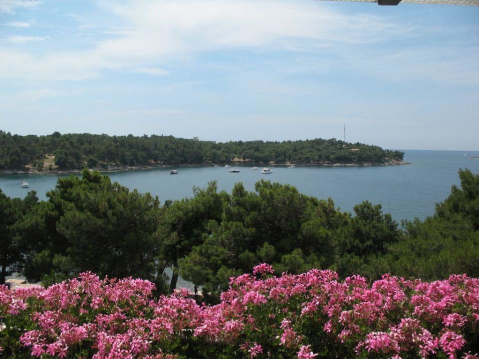 Meerblick Hotel Parentium Plava Laguna
