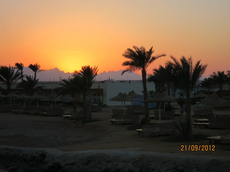 Abendstimmung - bisher hab ich nie fotografiert  Desert Rose