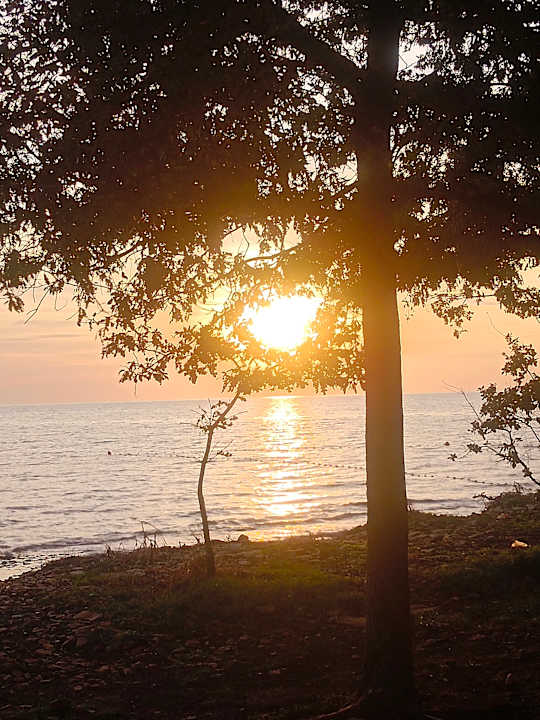 Ausblick Camping Park Umag Glamping