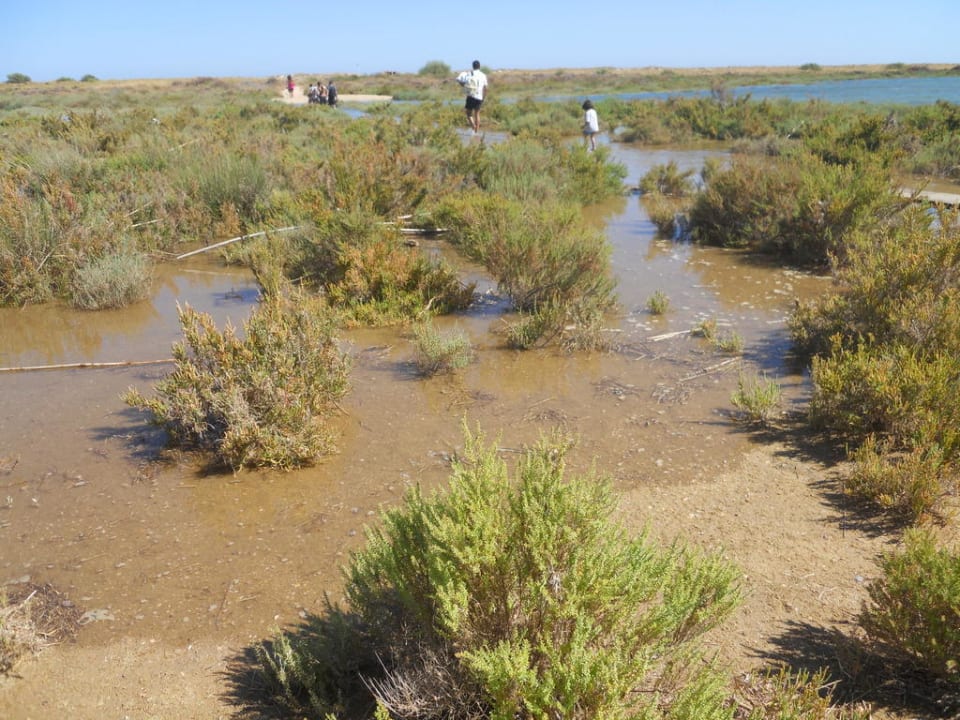 Naturschutzgebiet- Lagune Golden Club Cabanas