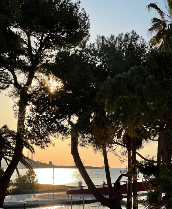 Gartenanlage allsun App.-Hotel Orquidea Playa