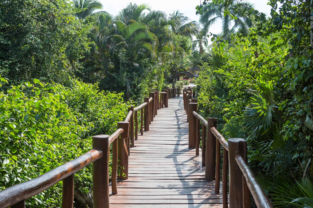 Außenansicht Grand Palladium Select White Sand Resort & Spa