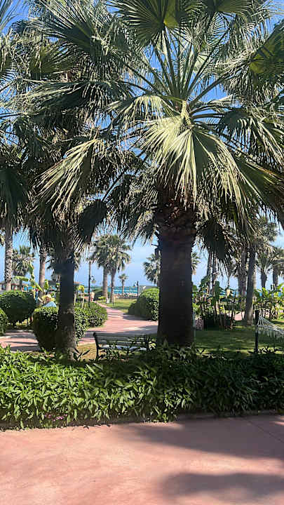 Außenansicht Adora Hotel & Resort