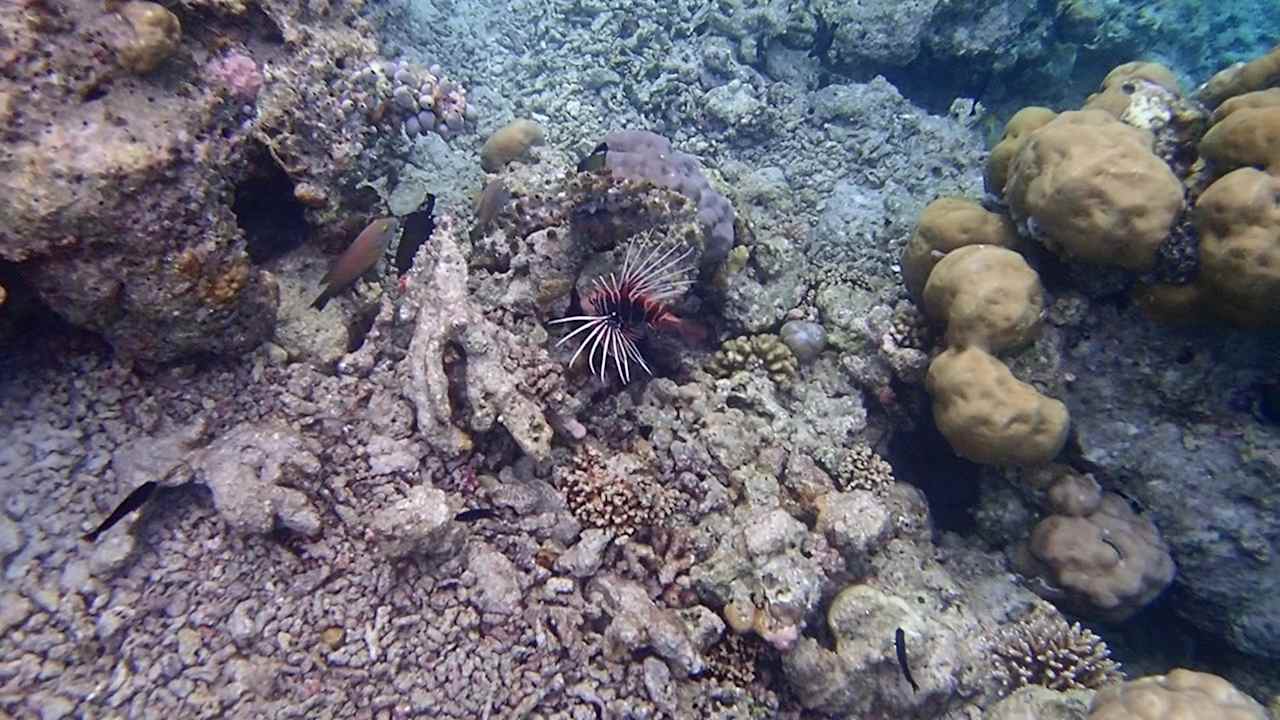 Sonstiges Vilamendhoo Island Resort & Spa