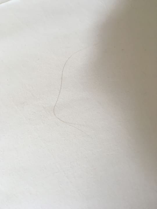 Zimmer TITANIC Comfort Berlin Mitte