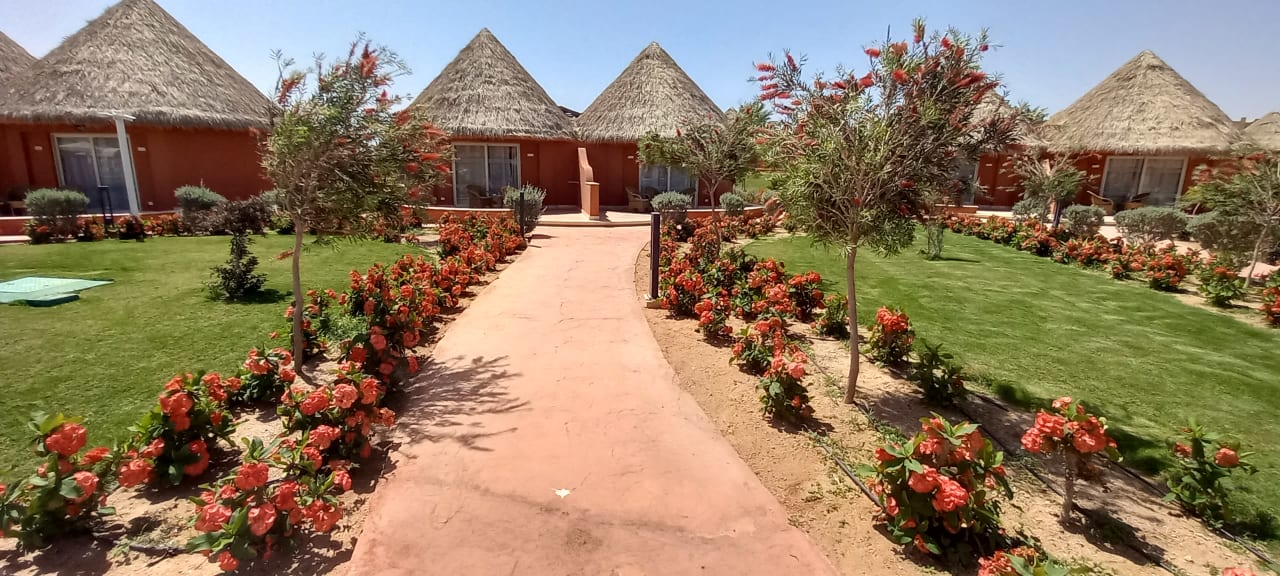 Gartenanlage Pickalbatros Laguna Vista Hotel