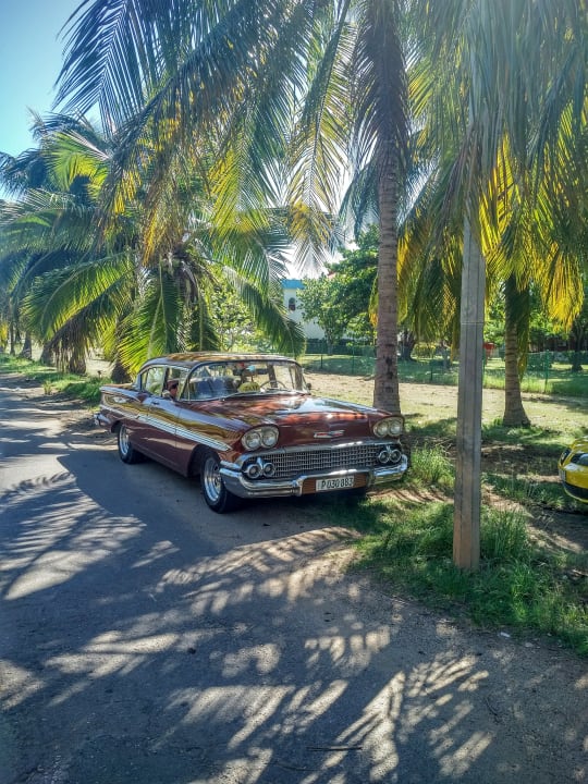 Gartenanlage Hotel Brisas del Caribe