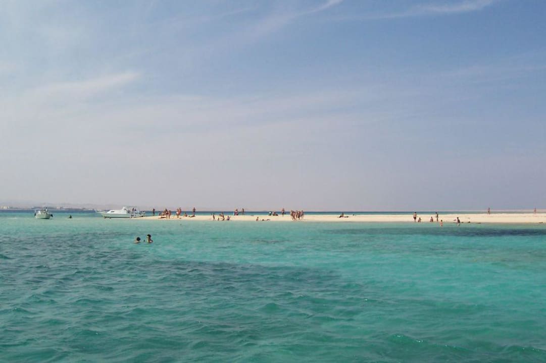 Schnorchelausflug mit dem Boot Shams Safaga Resort