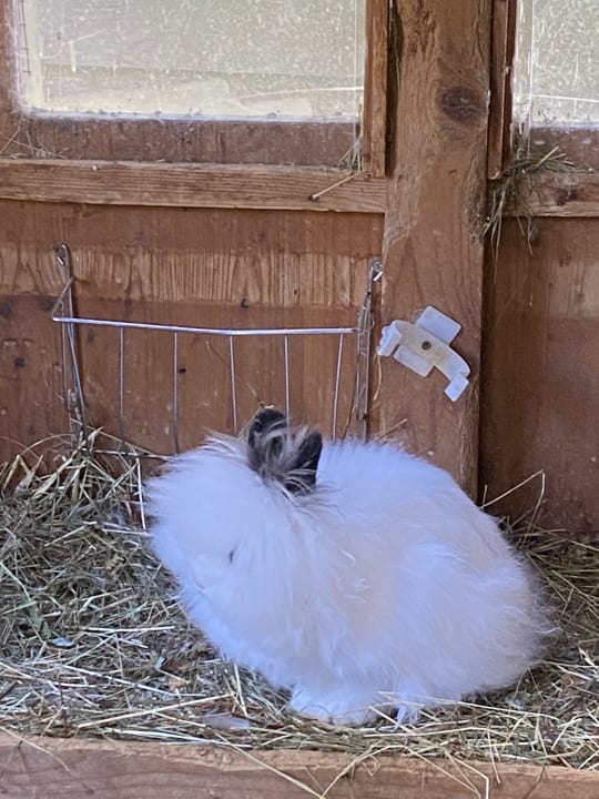 Sonstiges Oberjoch - Familux Resort