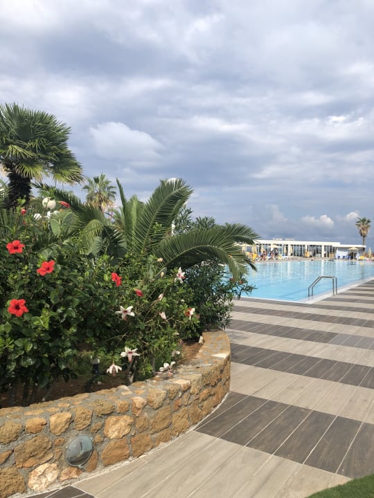 Pool Lyttos Beach Hotel