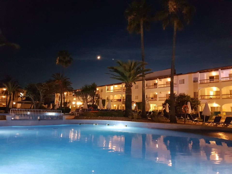 Pool Alcudia Garden Aparthotel