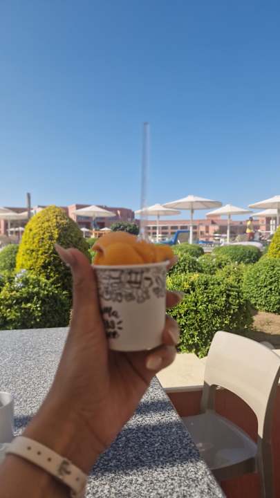 Gastro Pickalbatros Laguna Vista Hotel