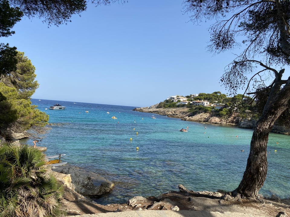 Ausblick Iberostar Waves Pinos Park