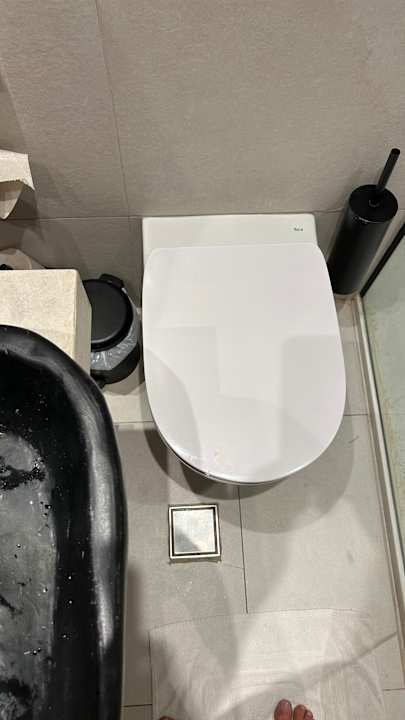 Zimmer Domes Aulūs Zante, Autograph Collection