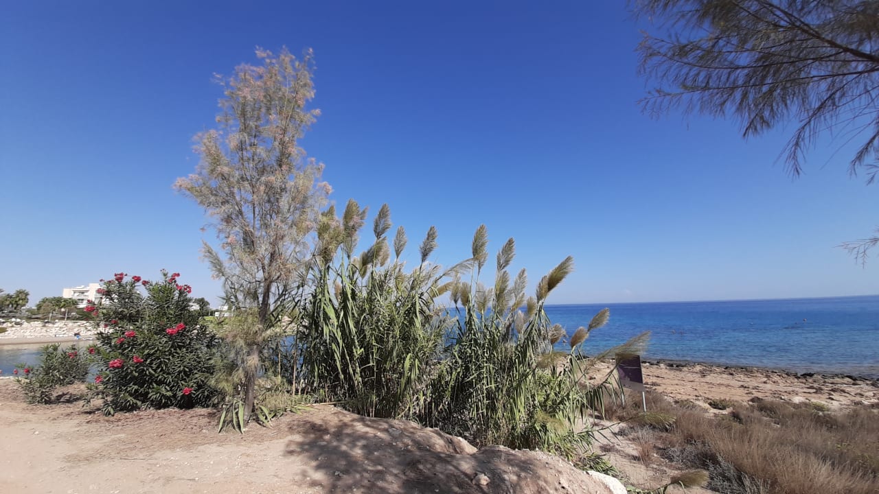 Ausblick Crystal Springs Beach Hotel