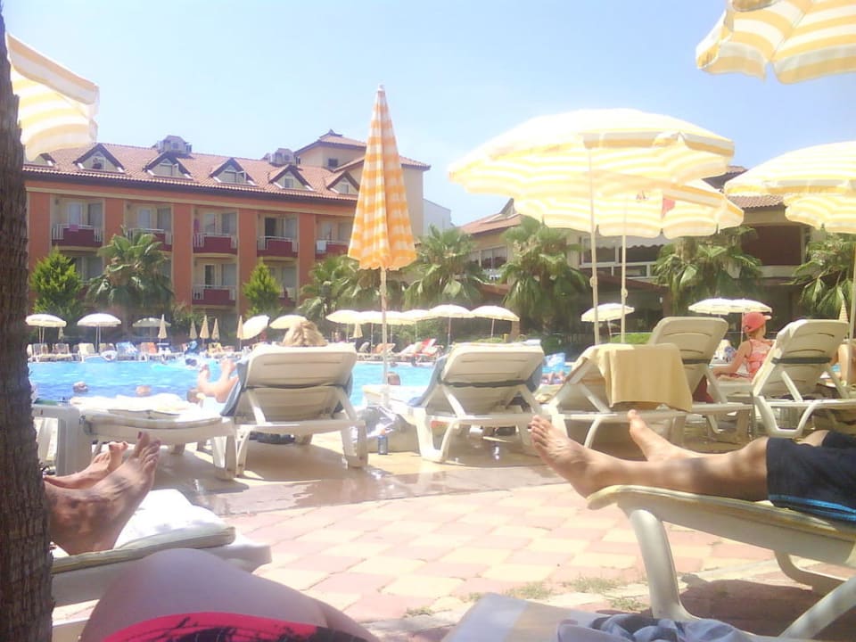 Pool Hotel Orfeus Park