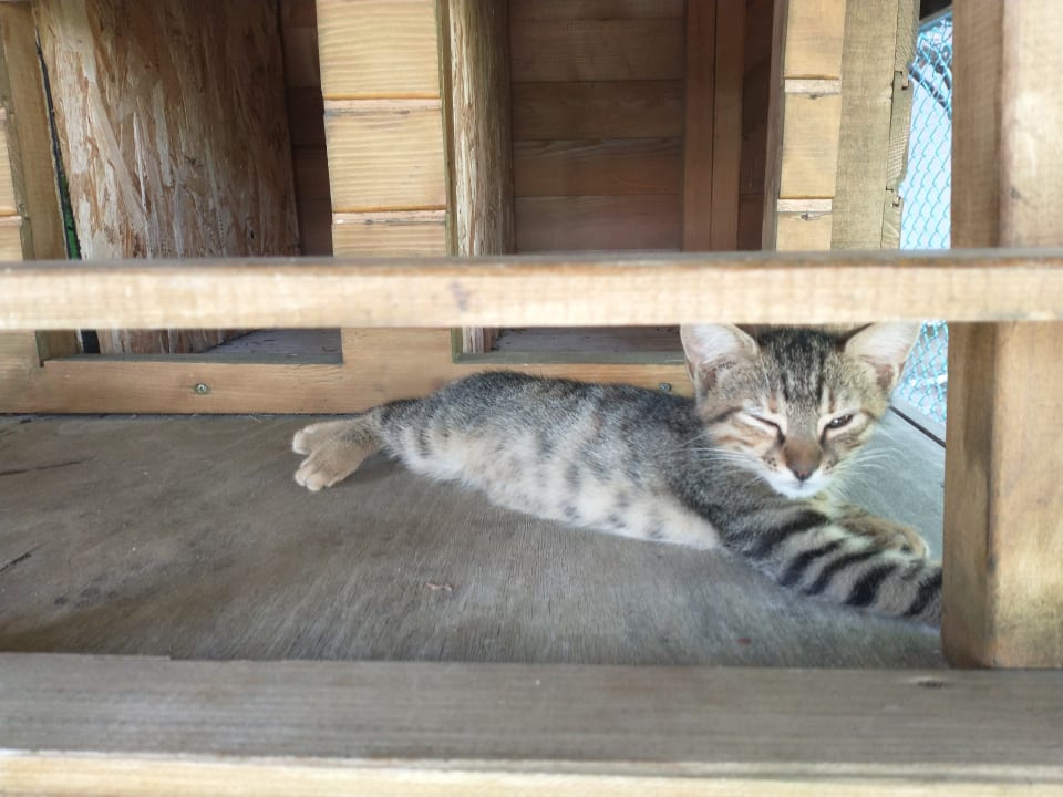 Sonstiges Grand Seker Hotel