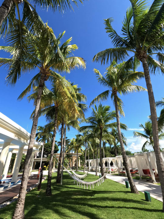 Gartenanlage JOIA Paraiso by Iberostar