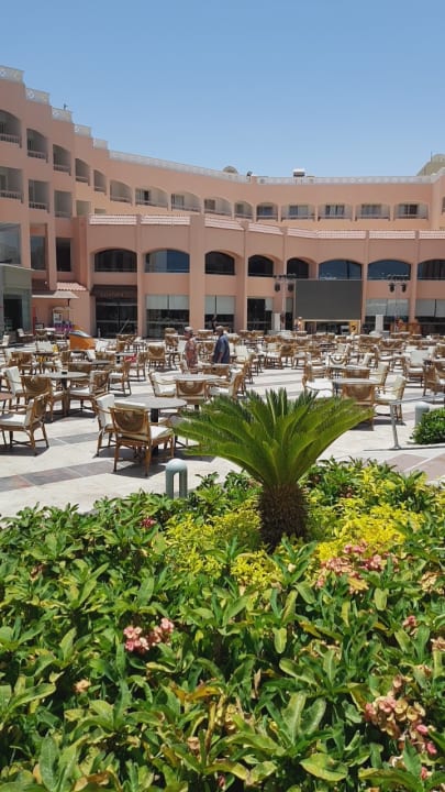 Lobby Beach Albatros Resort