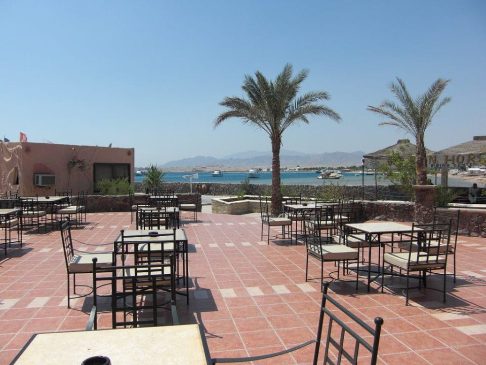 Blick von der Terrasse Eagles Paradise Abu Soma
