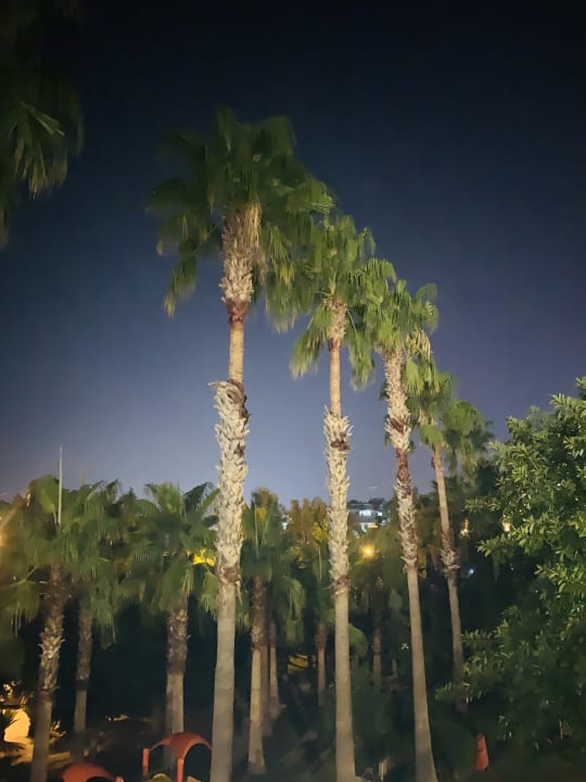 Ausblick Hotel Grand Side