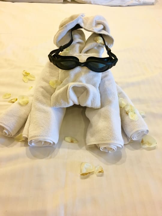 Zimmer Hotel Delphin Imperial