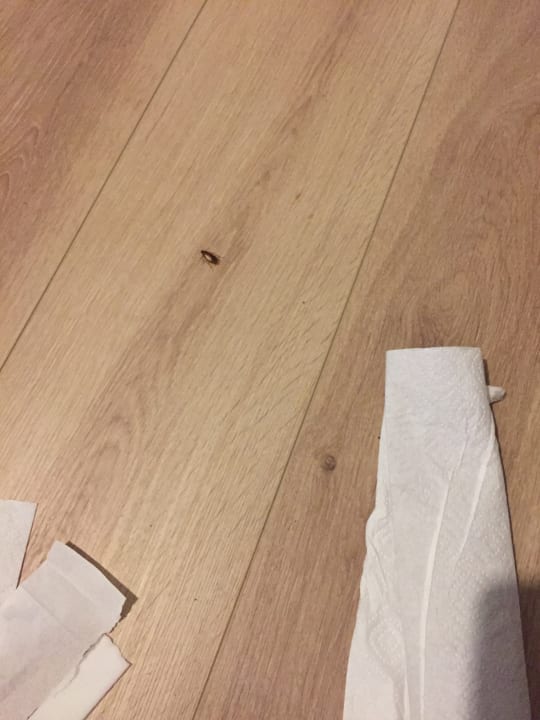 Zimmer Pension Ocakbasi im Schützenhaus