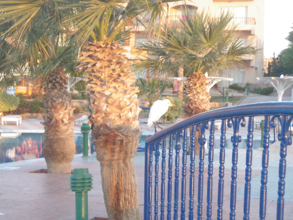Můstek přes bazén Pensée Royal Garden Beach Resort