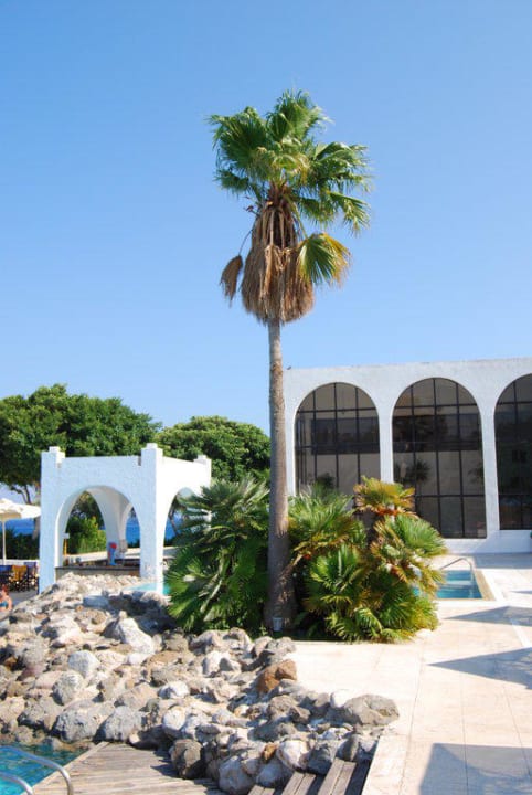 Am Salzwasserpool TUI BLUE Oceanis Beach and Spa Resort