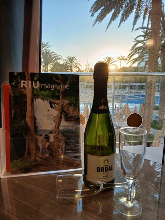 Sonstiges Hotel Riu Papayas