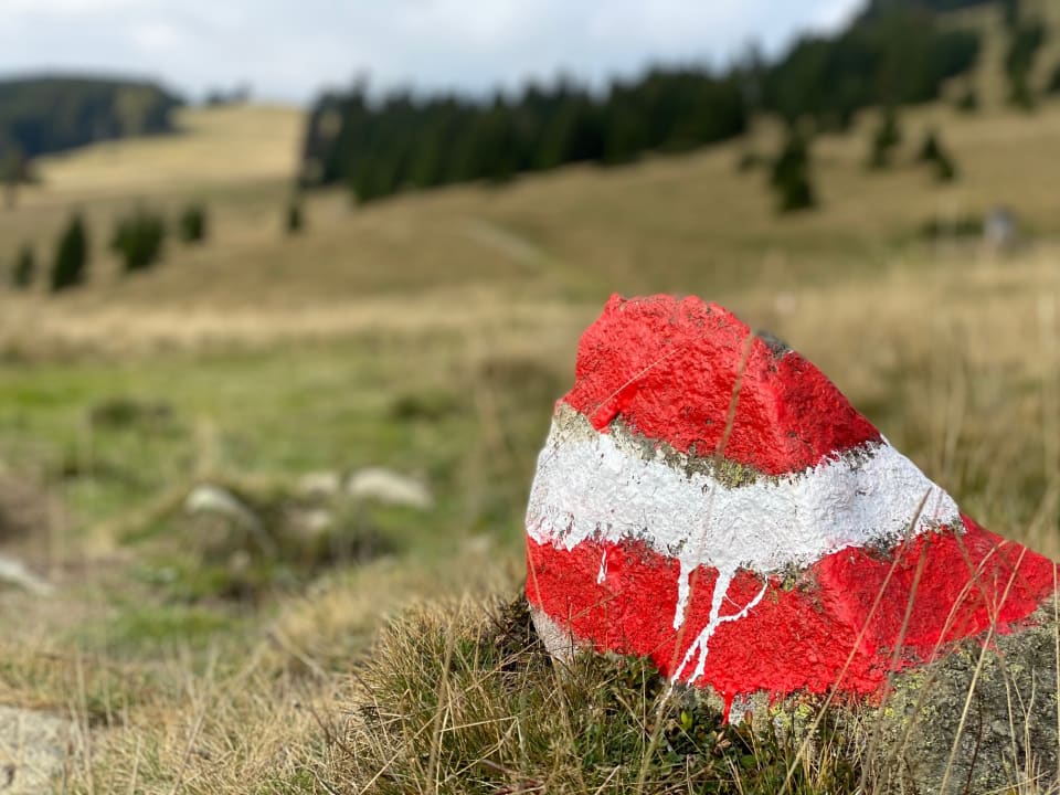 Ausblick Almwellness Hotel Pierer