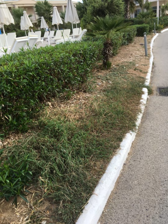 Gartenanlage Sandy Beach Resort