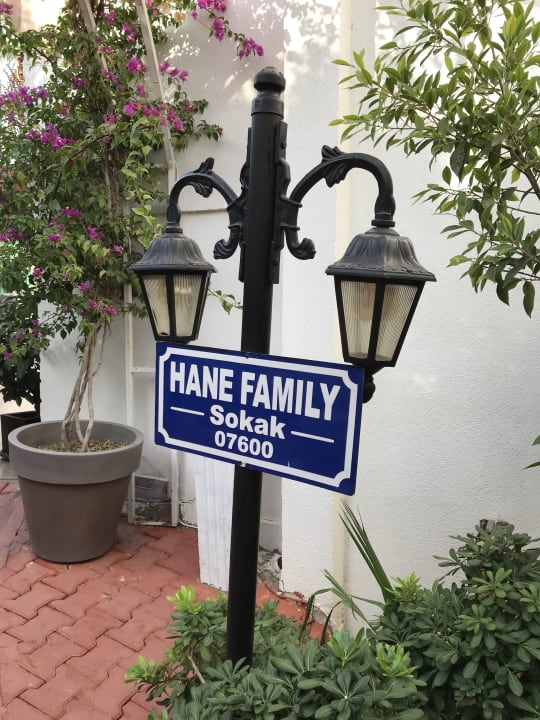 Gartenanlage Hane Family Resort