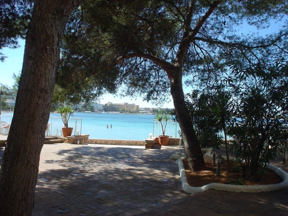ausblick von der hotelterrasse aufs meer NYX Hotel Ibiza - adults only