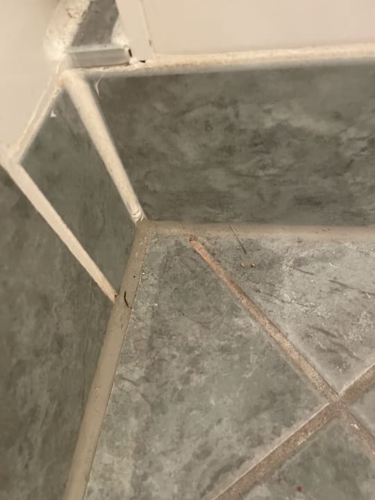 Zimmer Aparthotel Rialto & Hotel Esplanade