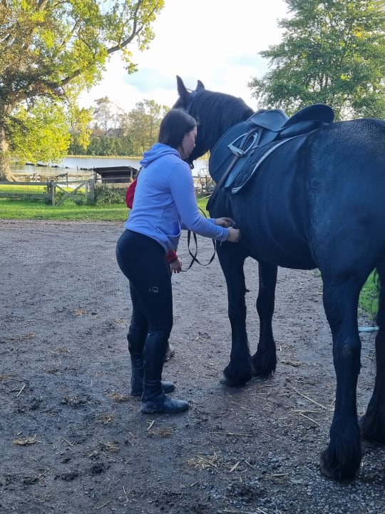 Sport & Freizeit Ferienhof Lehbekwiese