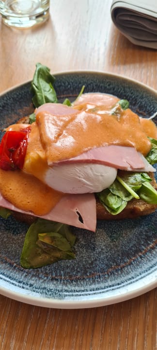 Gastro Townhouse Dresden