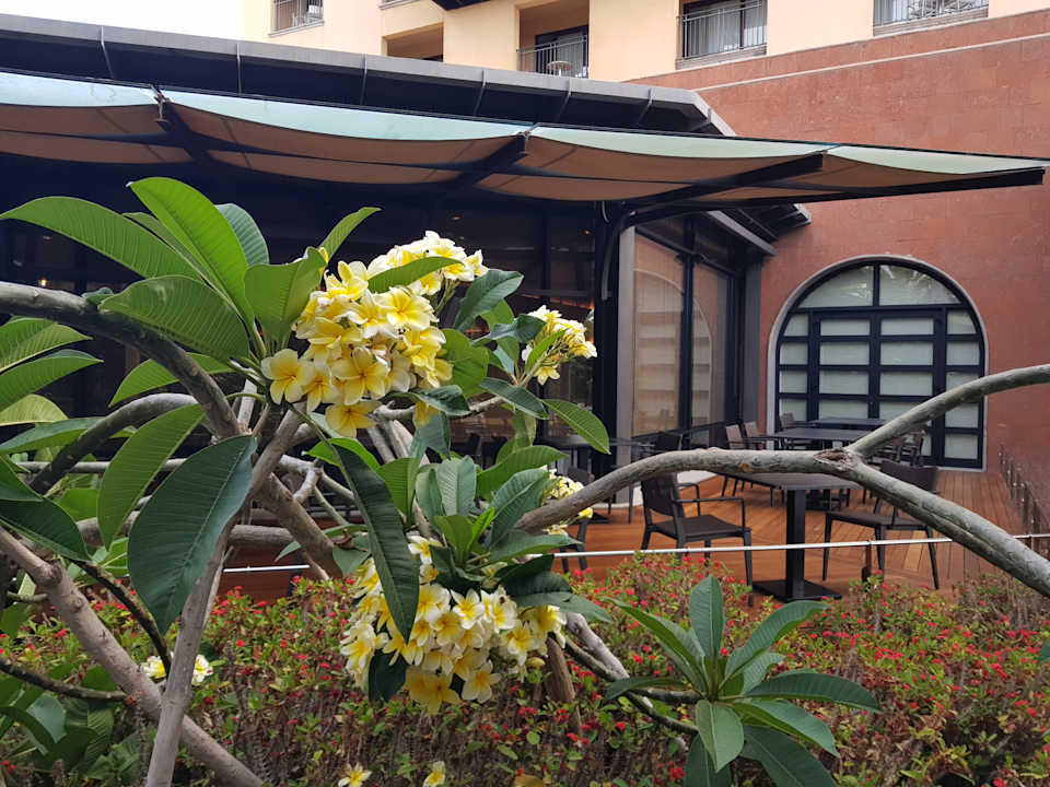 Gastro Lopesan Costa Meloneras, Resort & Spa